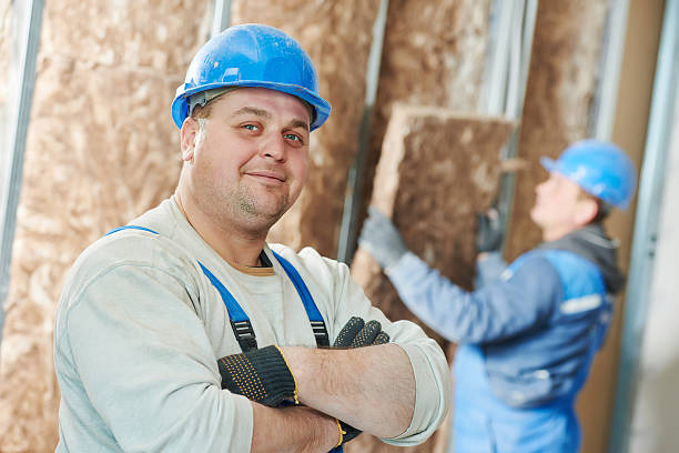 Best Eco-Friendly Insulation in North East, MD